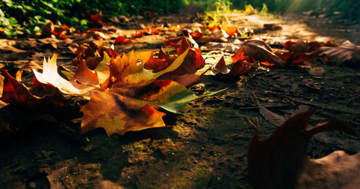 Ultra HD Autumn Wallpapers - Top Free Ultra HD Autumn Backgrounds 
