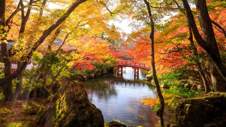 Autumn Park In Fushimi Ward Japan 4k Ultra Hd Wallpaper For Desktop 