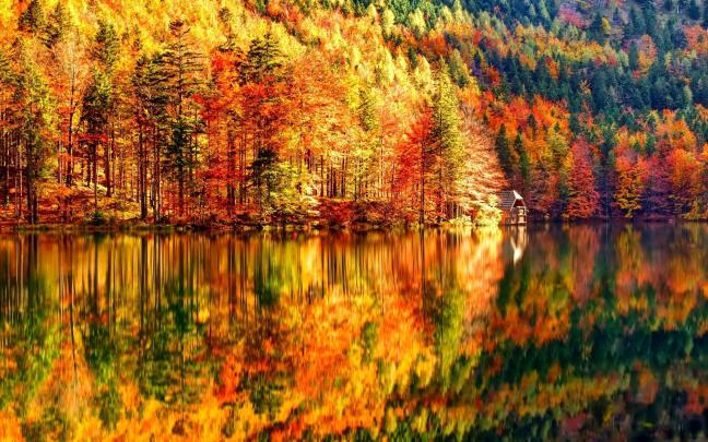 4K Autumn Wallpapers High Quality | Download Free