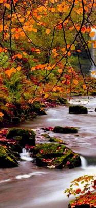 4K Fall Wallpapers for Desktop, iPad \u0026 iPhone