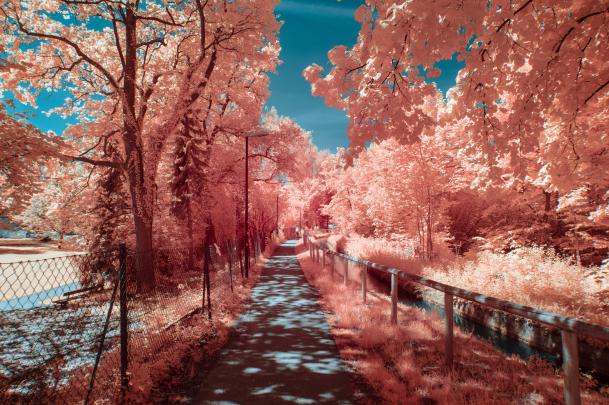 2560x1700 Autumn Photography 4k Chromebook Pixel HD 4k Wallpapers 