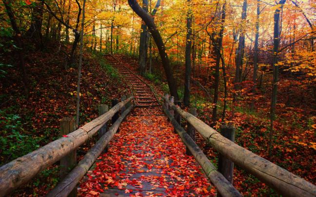4K Fall Wallpapers - Top Free 4K Fall Backgrounds - WallpaperAccess
