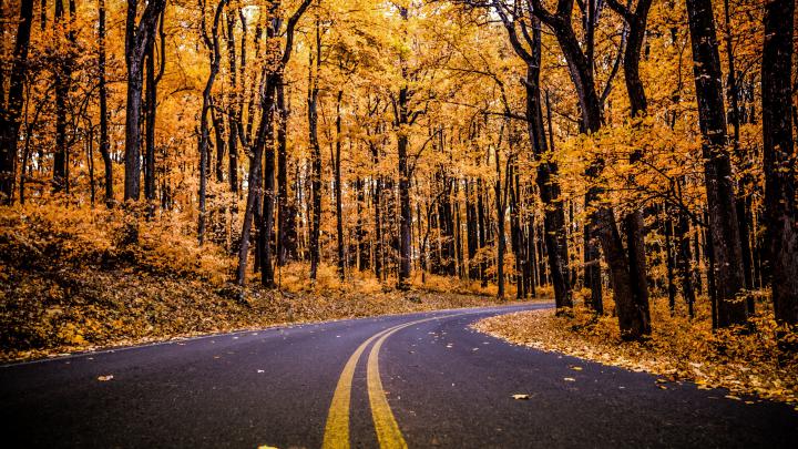 4K Autumn Wallpapers High Quality | Download Free