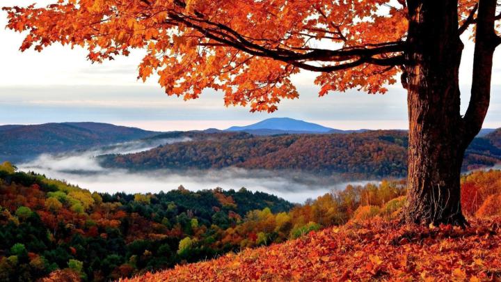 The Best 4k Autumn Wallpapers - 3d Wallpaper Arts