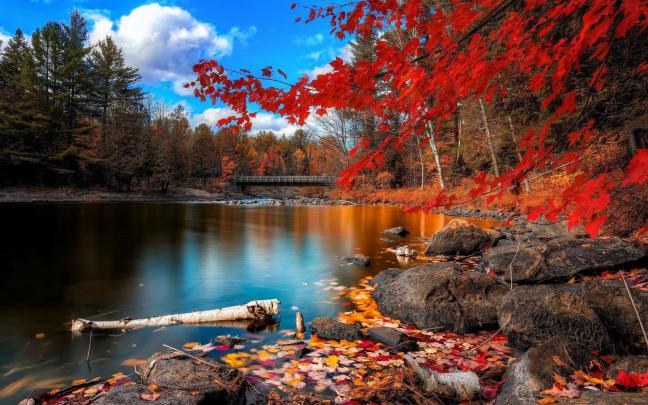 4K Autumn Wallpapers - Top Free 4K Autumn Backgrounds - WallpaperAccess