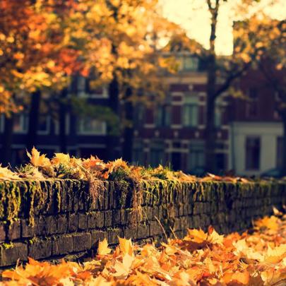 4K Autumn Wallpapers High Quality | Download Free