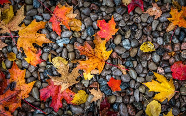 4k Autumn Wallpapers