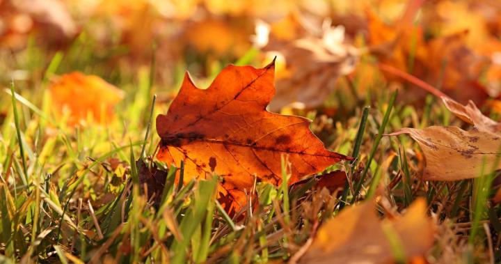 \u611b\u3055\u308c\u3057\u8005 Ultra Hd Autumn 4k Wallpaper - 50 \u4ee3 \u3084\u3063\u3066\u306f\u3044\u3051\u306a\u3044 \u9aea\u578b