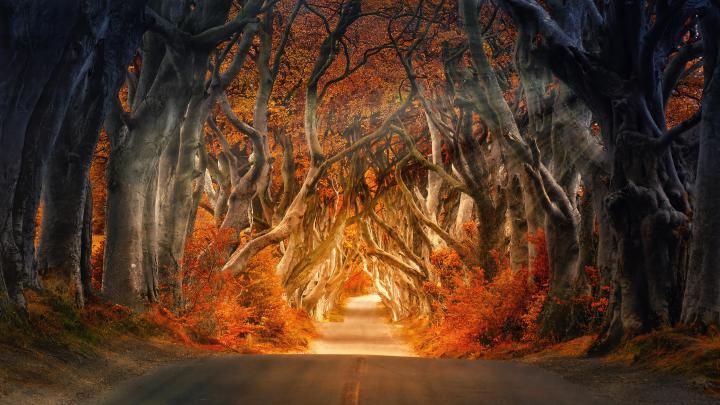 4k Autumn Wallpapers