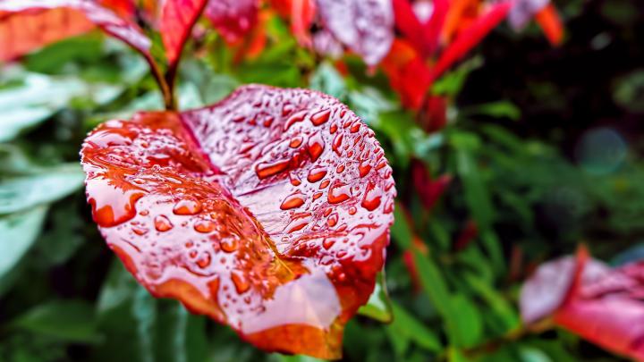 4K Autumn Wallpapers High Quality | Download Free