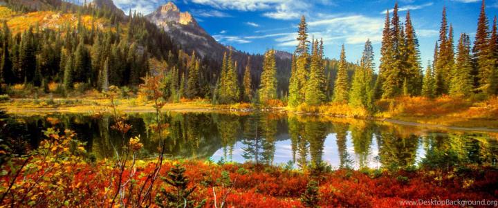 Best Scenic Views 4K Fall Wallpapers Desktop Background