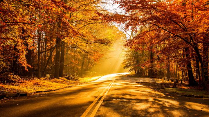 4K Autumn Wallpapers High Quality | Download Free