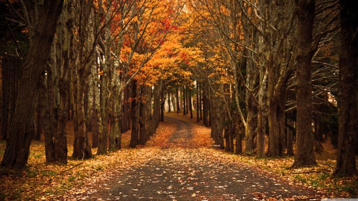 Ultra HD Autumn Wallpapers - Top Free Ultra HD Autumn Backgrounds 