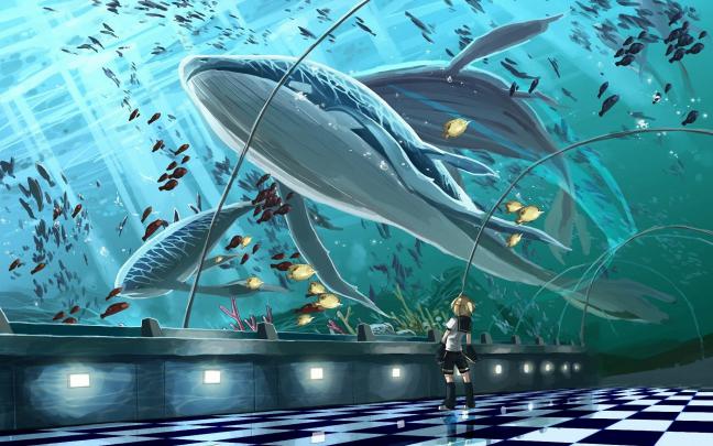wallpaper: Anime HD Wallpapers