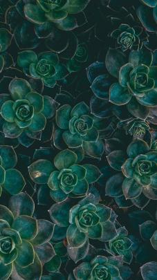 Boho Wallpapers (47+ images)