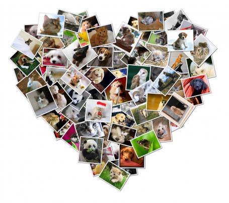 HD Desktop Wallpaper: collages