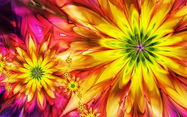 Colorful Flowers Wallpapers HD