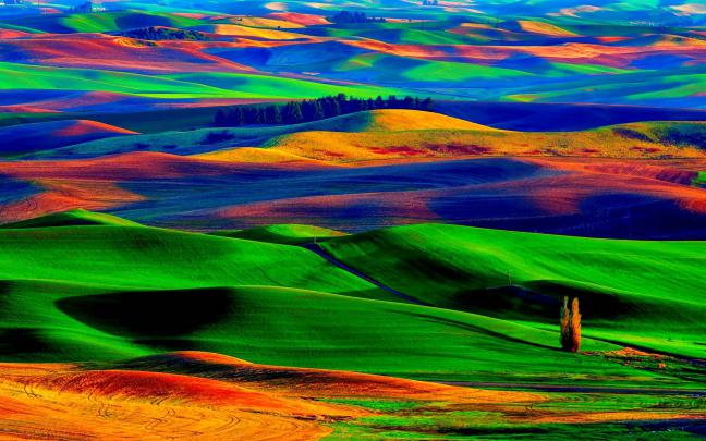 Colorful Nature Wallpapers