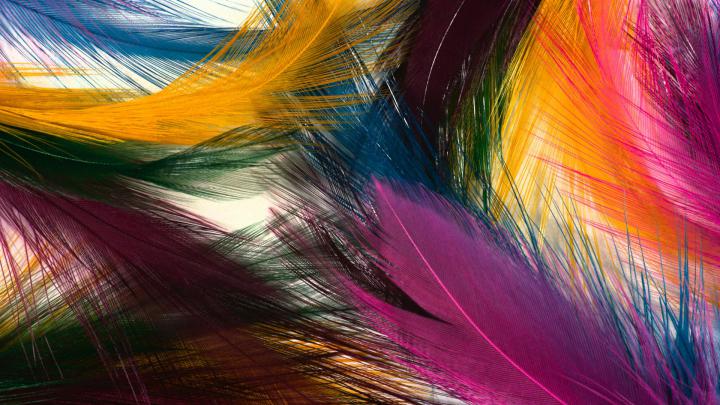 Free Colorful Wallpaper Desktop