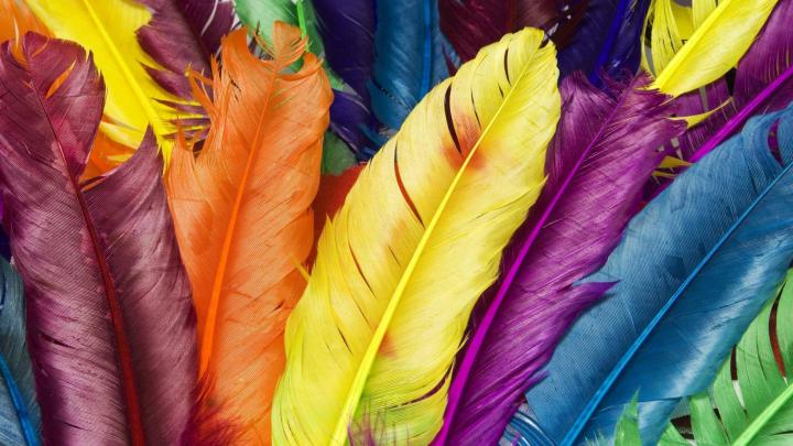 Colorful Wallpapers