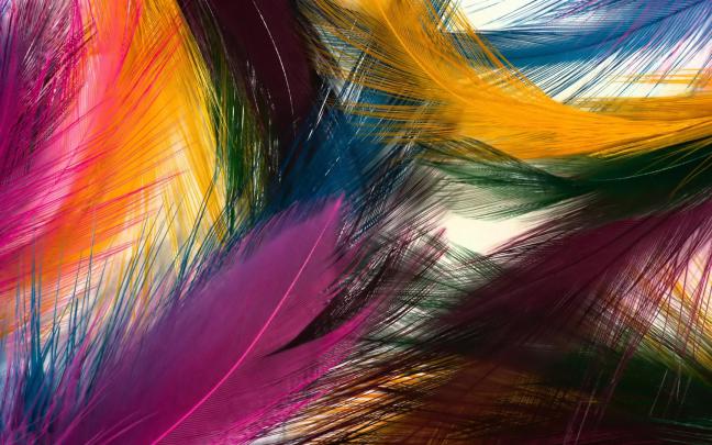 Colorful Wallpapers