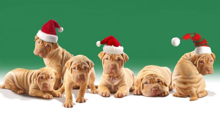 Cute Christmas Desktop Backgrounds