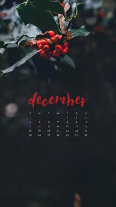 It\u0026#39;s December Wallpapers