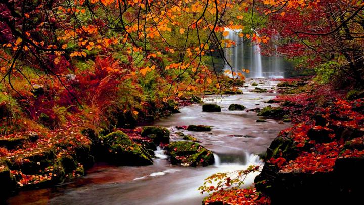 Autumn Wallpapers HD