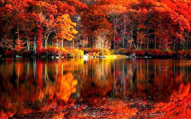 HD Fall Scenery Wallpapers