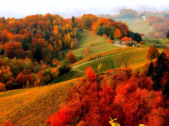 HD Fall Scenery Wallpapers