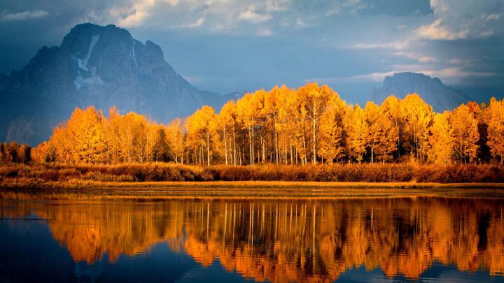 Autumn Trees On Lake, HD Nature, 4k Wallpapers, Images, Backgrounds 