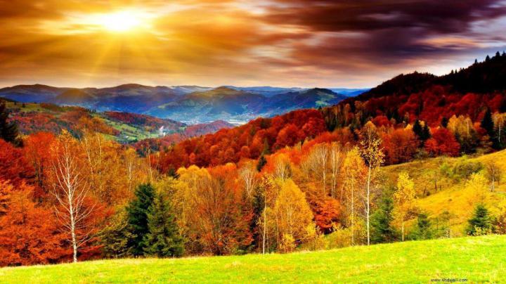 Autumn Wallpapers HD
