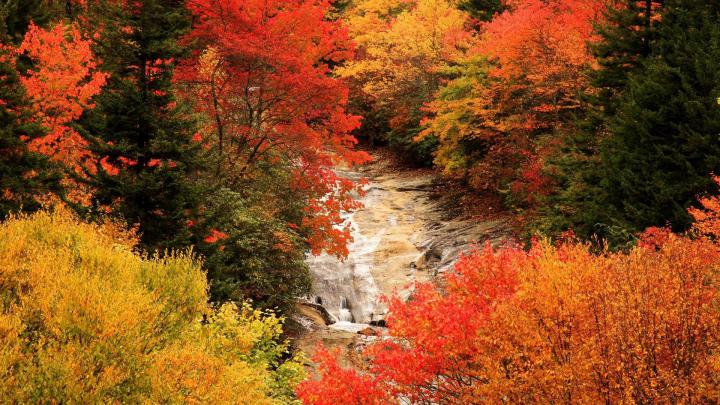 Beautiful Fall Backgrounds