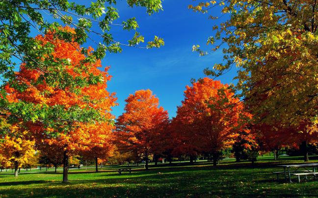 Autumn HD Widescreen Wallpaper (71+ images)