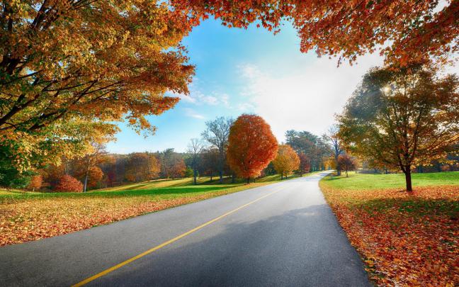 Free HD Fall Wallpapers