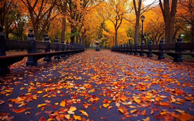 Ultra HD Autumn Wallpapers - Top Free Ultra HD Autumn Backgrounds 