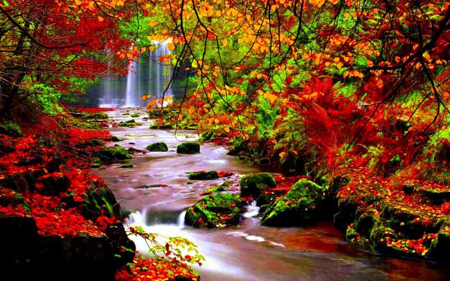 Autumn River HD Wallpaper