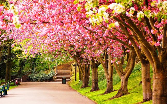 High Resolution Spring Desktop Wallpaper