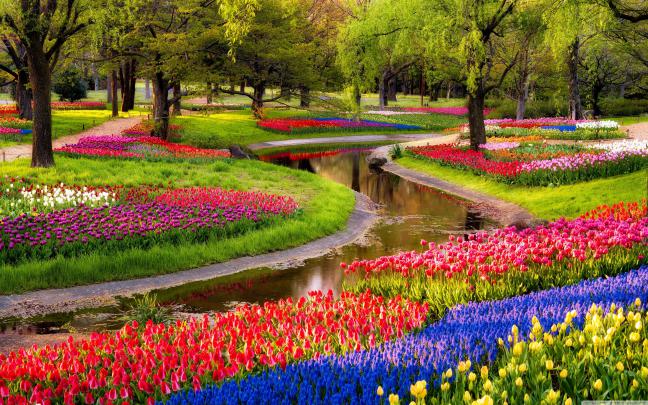Spring Garden Wallpapers - Top Free Spring Garden Backgrounds 