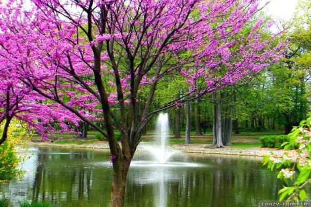 Spring wallpaper \u00b7\u2460 Download free High Resolution wallpapers for 