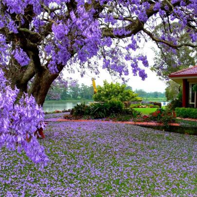 10 Latest Spring Nature Wallpapers High Resolution FULL HD 1080p For PC 