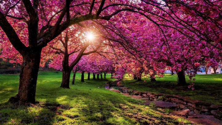 Desktop Wallpaper Spring Scenes (74+ images)