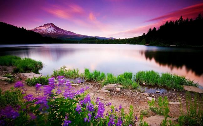 Spring wallpaper \u00b7\u2460 Download free High Resolution wallpapers for 
