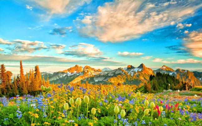 Spring wallpapers 1680x1050 desktop backgrounds
