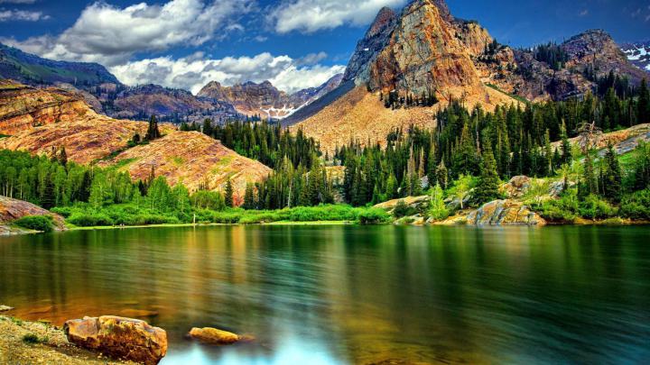 Landscape-nature-rocky mountains with jagged peaks-pine trees-mountain 