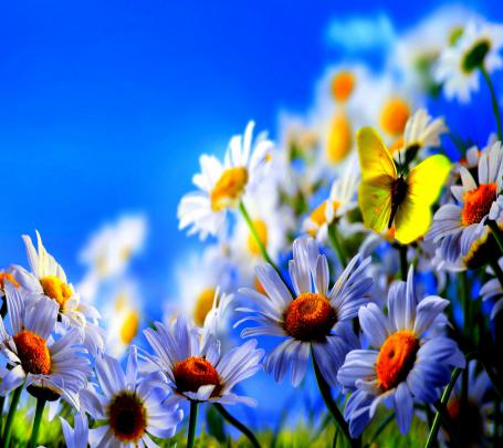 Live Wallpapers for Windows 10 (54+ images)