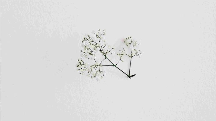 Free download wallpapers in pinterest rhpinterestcom swooning 