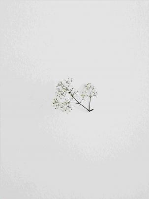 Minimalist Aesthetic Wallpapers