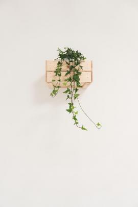Minimalist Aesthetic Wallpapers