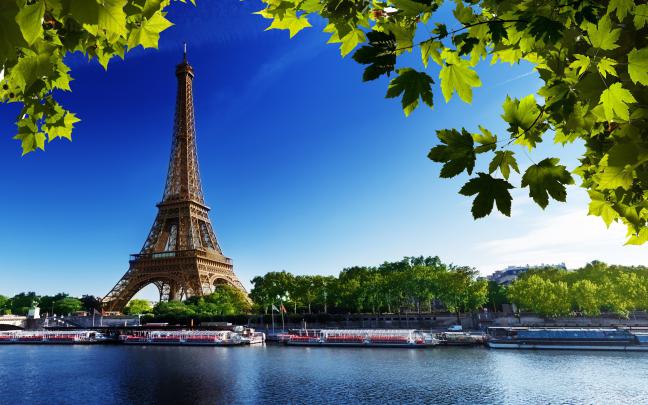 cityscape, France, Paris, River, Leaves, Eiffel Tower Wallpapers HD 